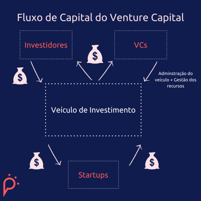 Fluxo de capitalvc