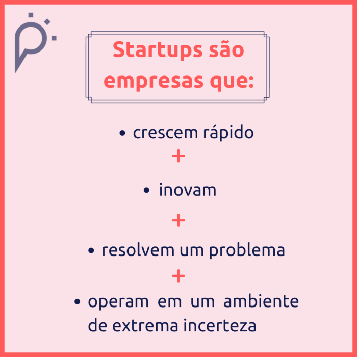 caracterizando uma startup